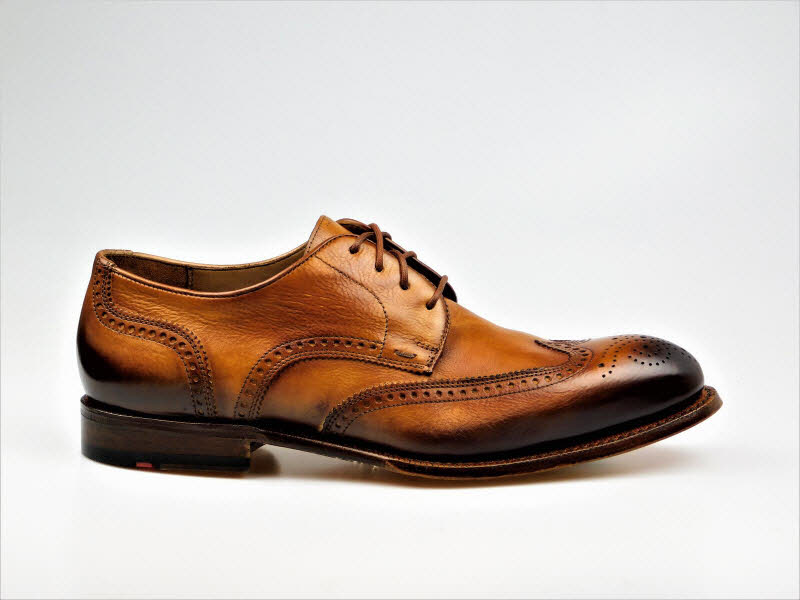 LLOYD H-Schnürer OLON