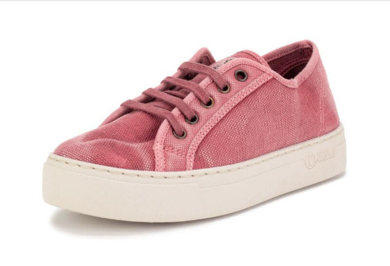 NaturalWorld Old Gavi Rosa