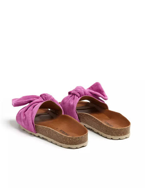 Verbenas Roxy Velour Flamingo