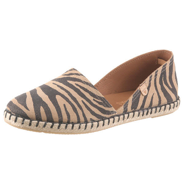 Verbenas CRUZ Zebra Camel