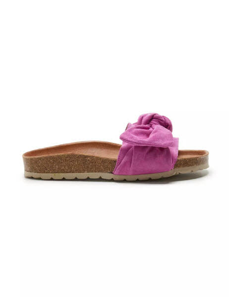 Verbenas Roxy Velour Flamingo