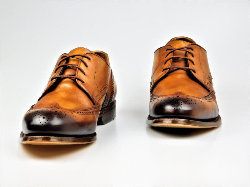 LLOYD H-Schnürer OLON