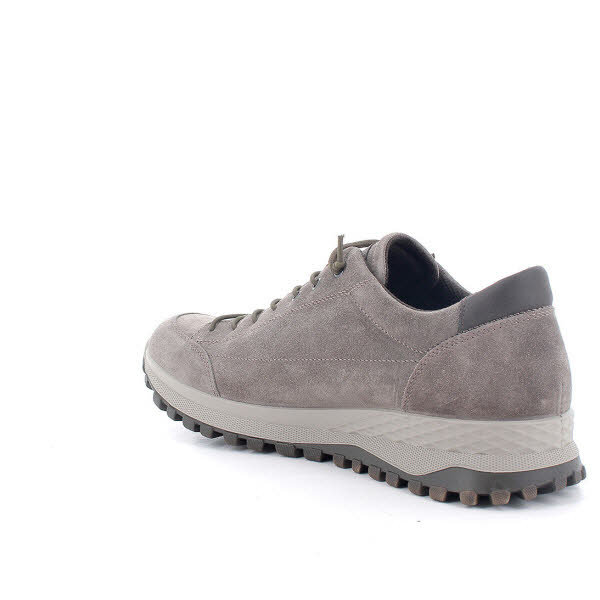 IGI&CO Herrenschnürer Goretex - fango
