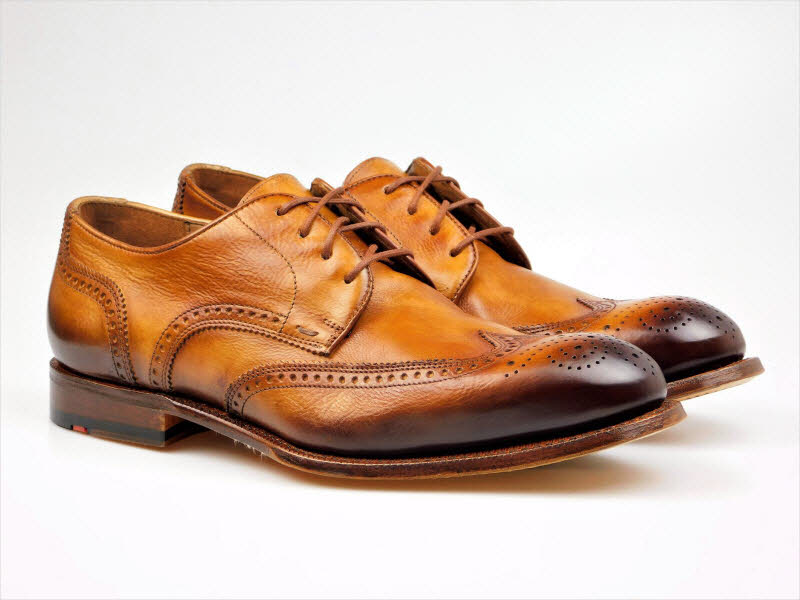 LLOYD H-Schnürer OLON