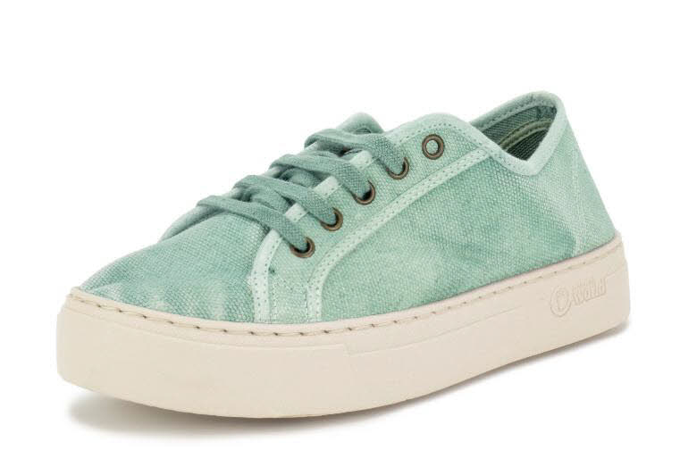 NaturalWorld Old Gavi Aqua