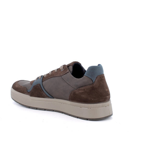 IGI&CO Herrenschnürer Castagno/blu