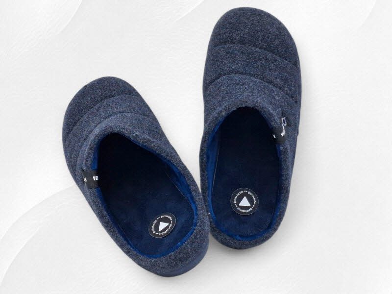 Verbenas Earth Picos Marino