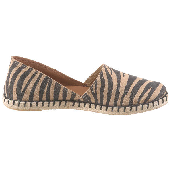 Verbenas CRUZ Zebra Camel