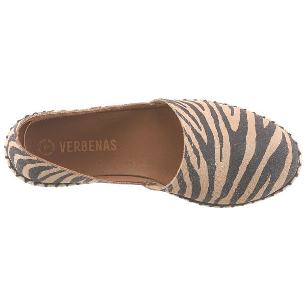 Verbenas CRUZ Zebra Camel
