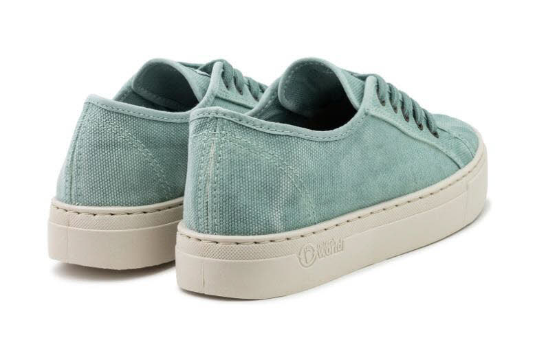 NaturalWorld Old Gavi Aqua