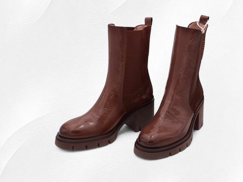 Hispanitas Zürich Avellana