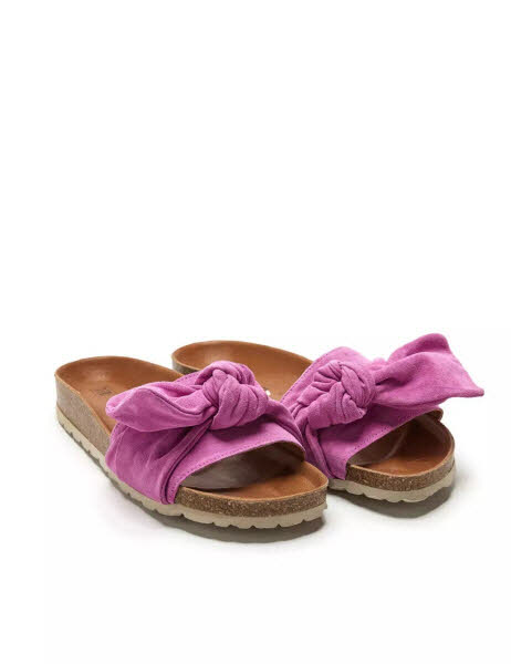 Verbenas Roxy Velour Flamingo