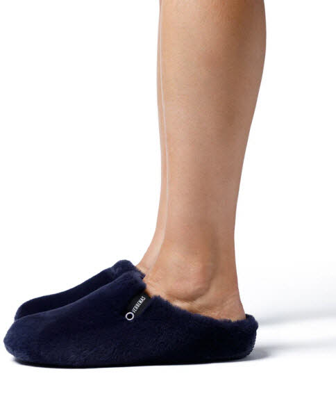 Verbenas York Groseto Marino