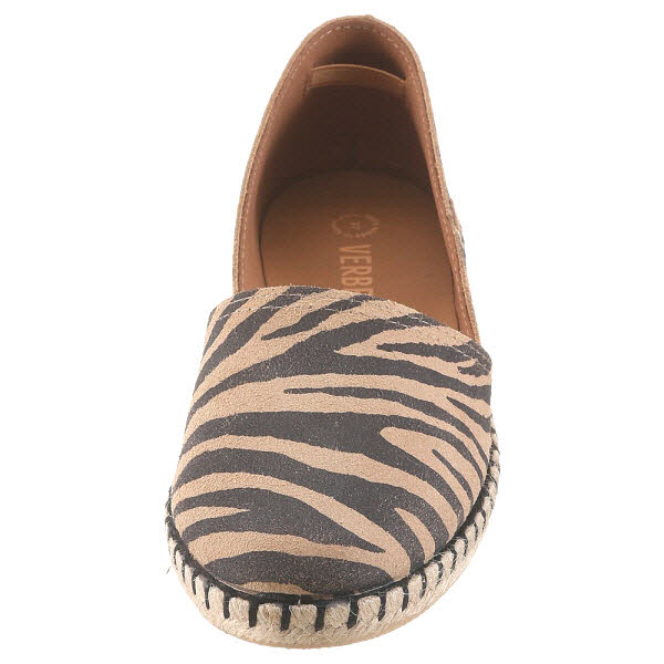 Verbenas CRUZ Zebra Camel
